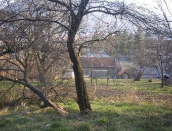 Development Land, Investment Brasov